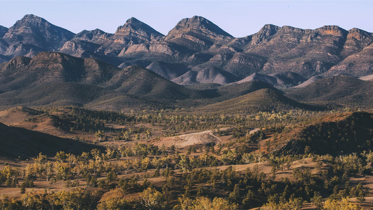 Emma Pritchett Celebrates 10 Years with Wild Bush Luxury!