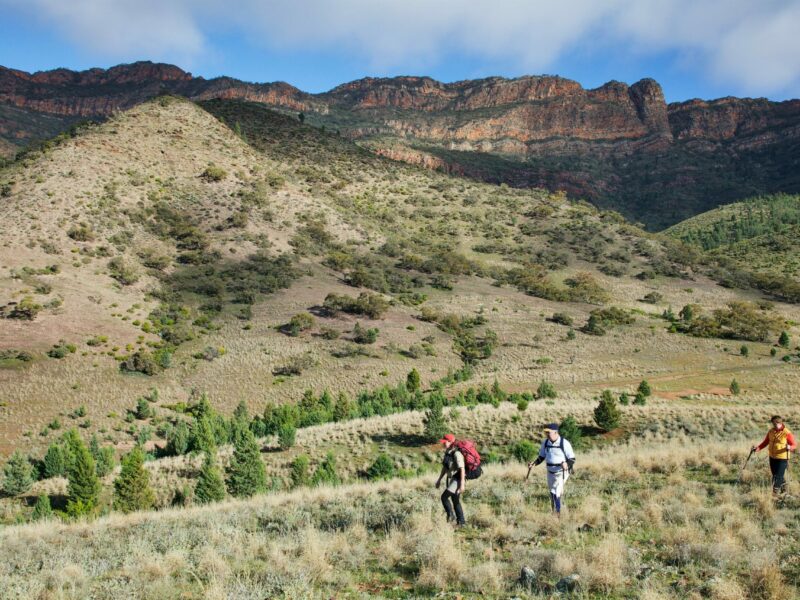 Breathing-in-the-Australian-outback-on-the-Arkaba-Walk-Richard-Field