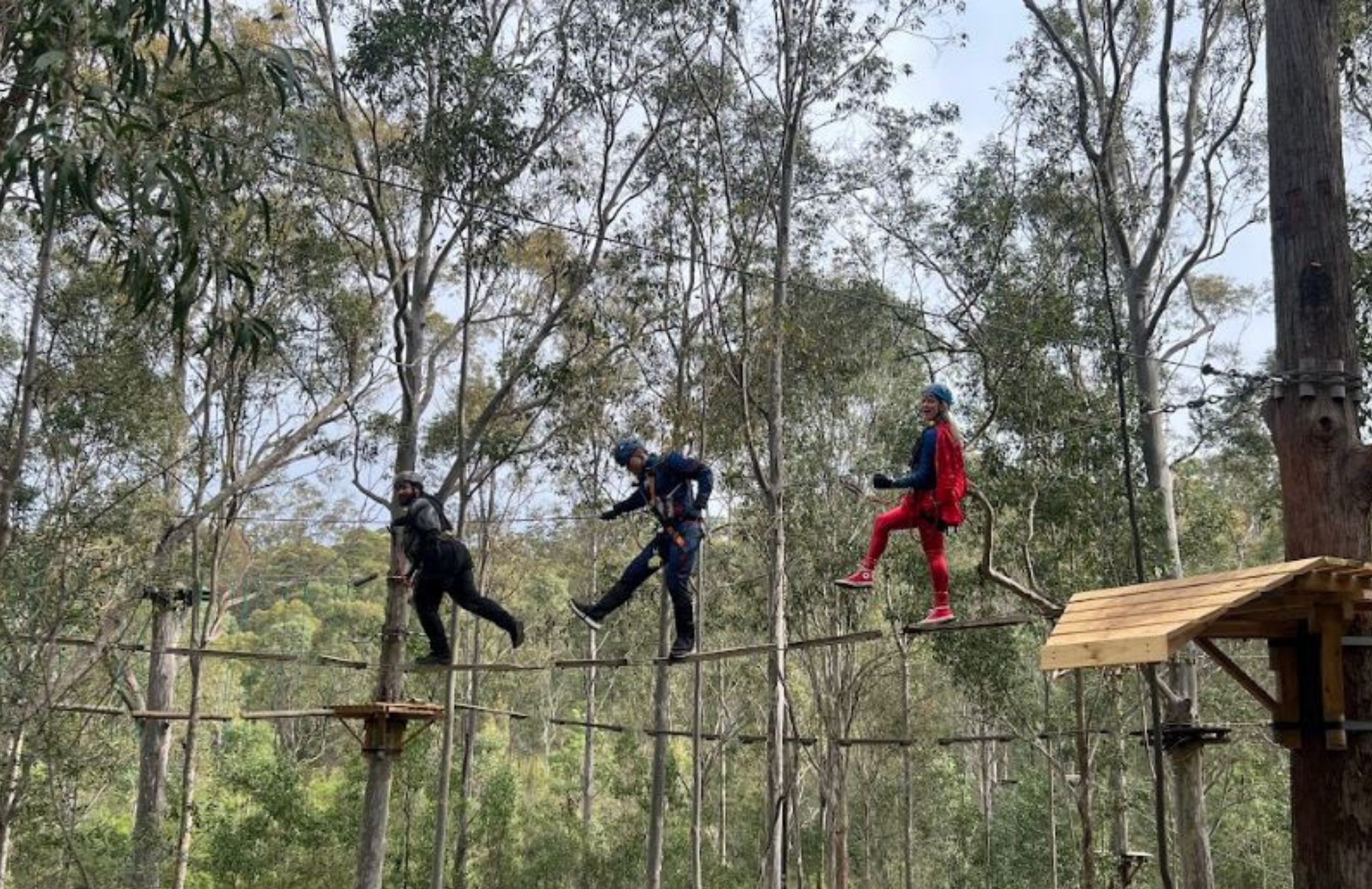 Hero for HeartKids 2024 at Treetops Adventure